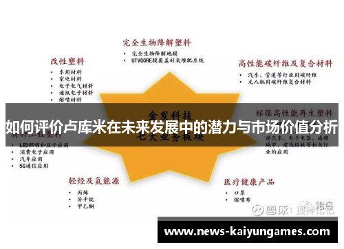 如何评价卢库米在未来发展中的潜力与市场价值分析